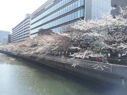 20120405_093857.jpg