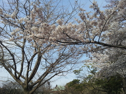 20120407_153536.jpg