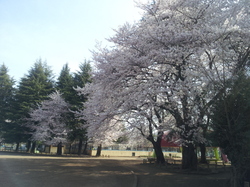 20120410_085702.jpg