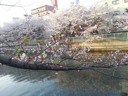 20120412_171656.jpg