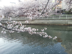 20120412_171735.jpg