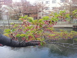 20120419_171636.jpg